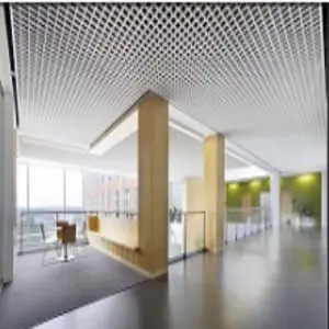 Open Decorative System Ceiling