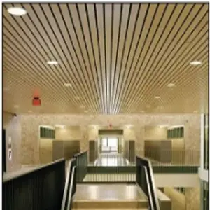 Linear Ceiling System