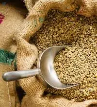 Arabica Coffee Beans