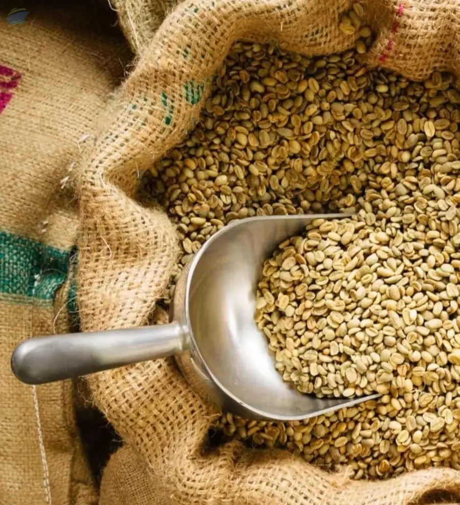 Arabica Coffee Beans