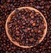 Robusta coffee beans