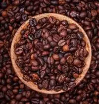 Robusta coffee beans
