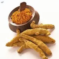 Turmeric