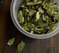 Curry leaves