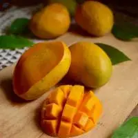 alphonso mango