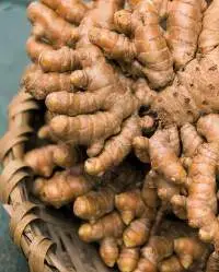 Ginger