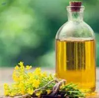 Canola Oil