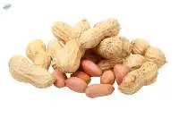 Peanut