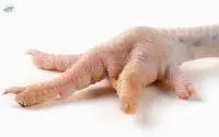 Chicken paws