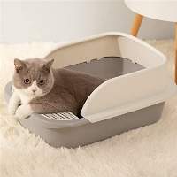 Toilets and Accessories