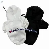 Sweater For A Dog With An Inscription