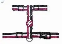 Dashi Stripes 3 Purple &  Black Dog Harnesses
