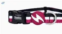Dashi Stripes3 Purple & Black Dog Collar