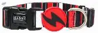 Dashi Slide Collar For Dogs
