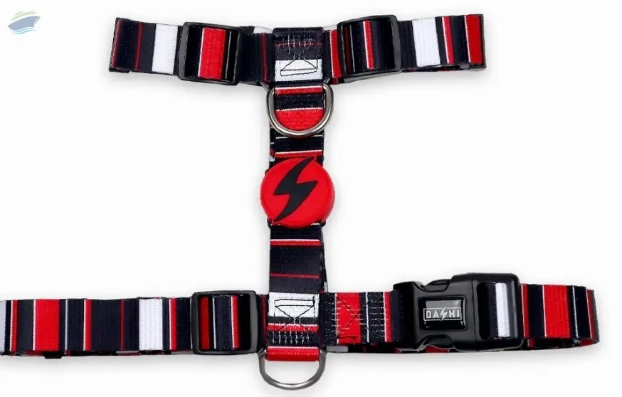 Dashi Slide Back Harnesses