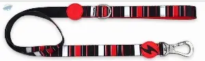 Dashi Slide Leash
