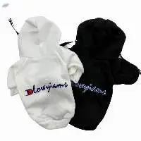 Sweater For A Dog With An Inscription