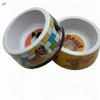 Dog Bowl
