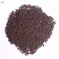 Small Mustard Seeds