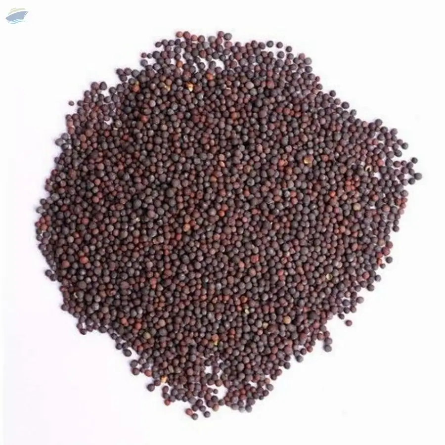 Small Mustard Seeds