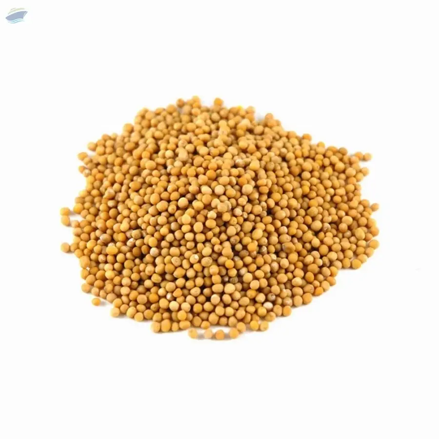 Yellow Mustard Seeds
