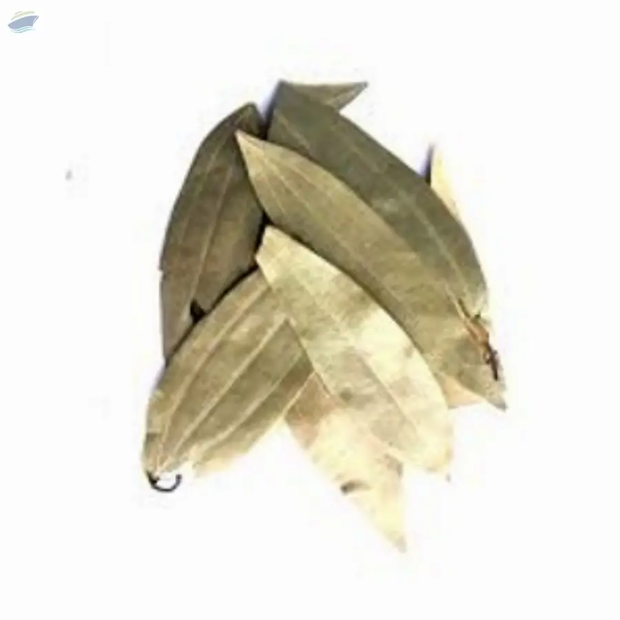 Bay Leaves ( Bay Leaf )