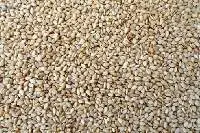 White Sesame seed