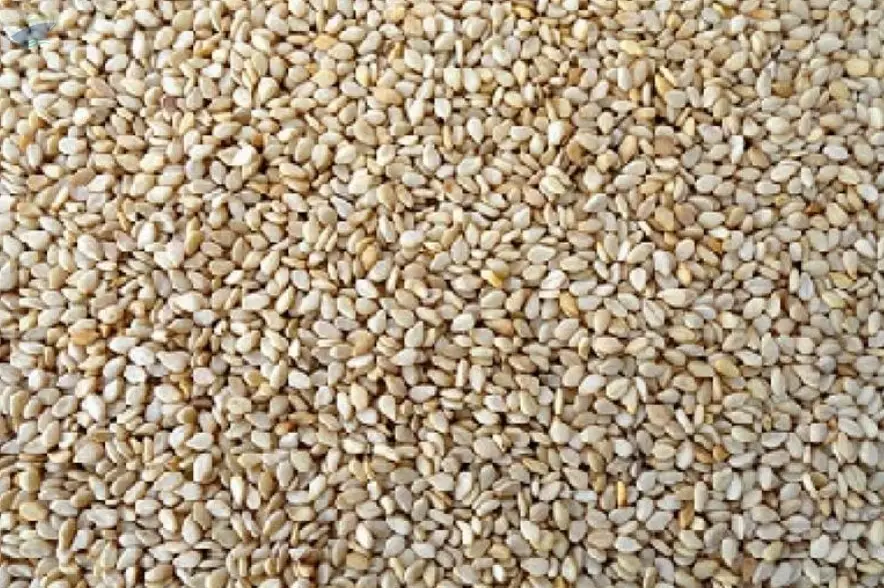 White Sesame seed
