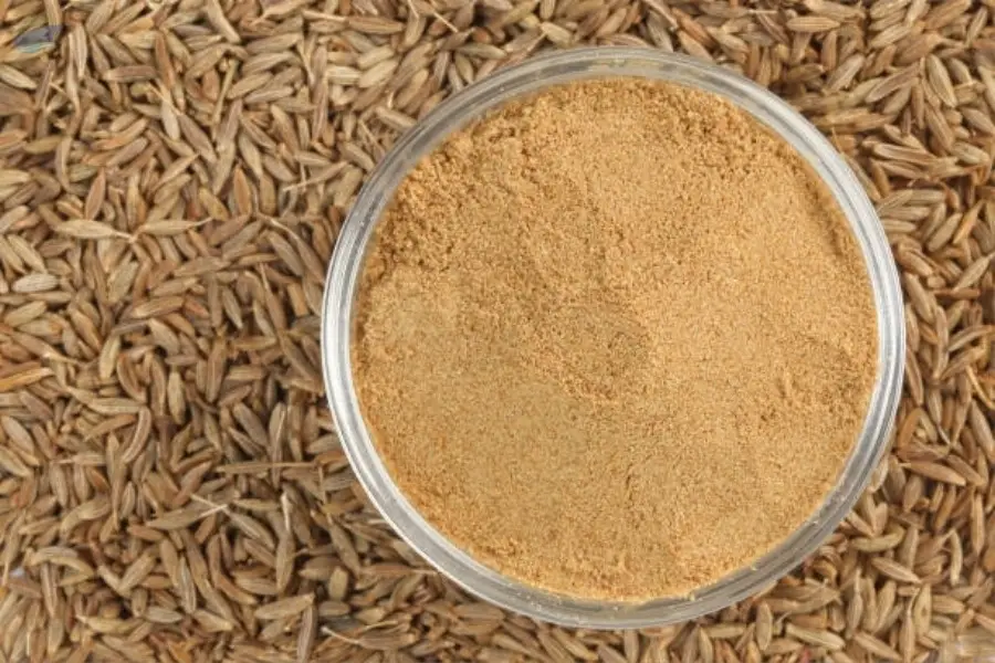 Cumin Powder (Crushed or ground)
