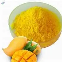 Dehydrated Fruit Powder