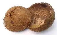 Coconut shell