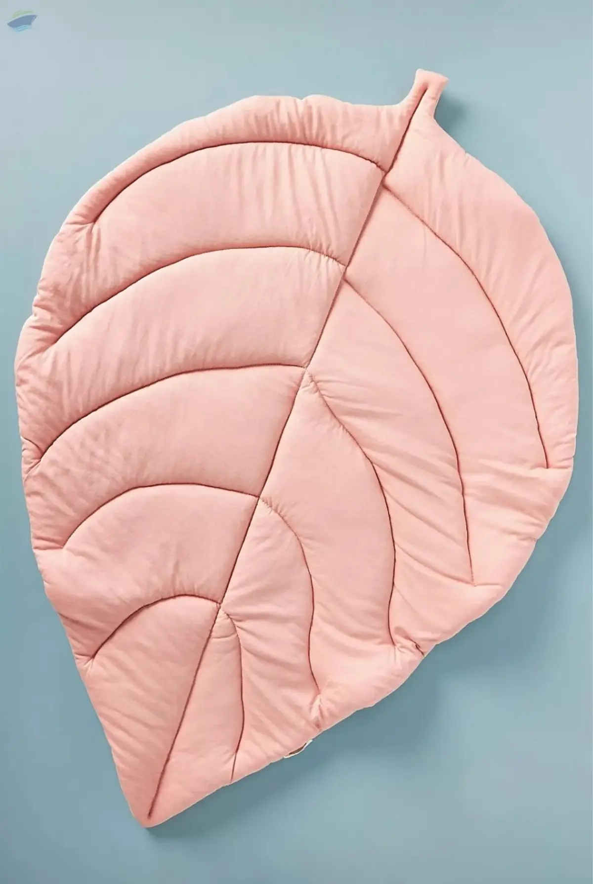 Blanket
