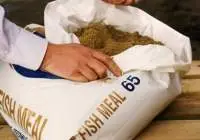 Fishmeal 65% & Fishmeal 55%-58%