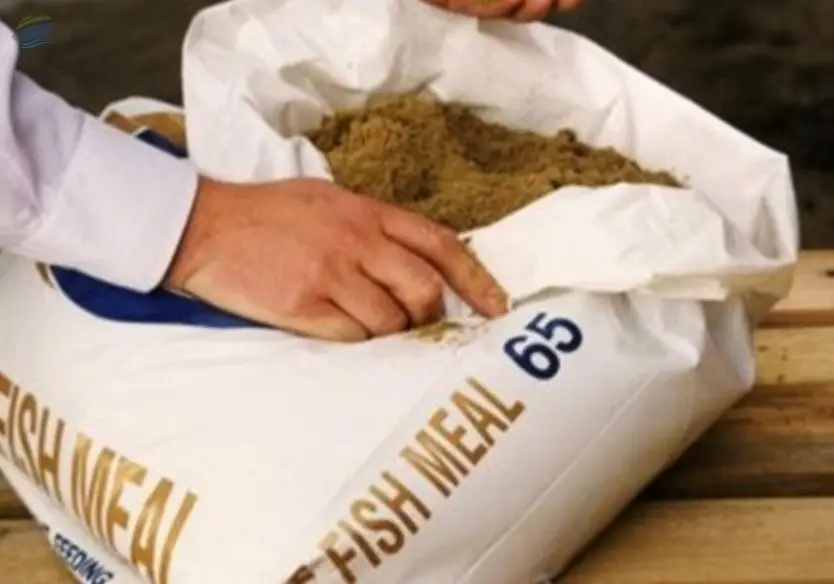 Fishmeal 65% & Fishmeal 55%-58%