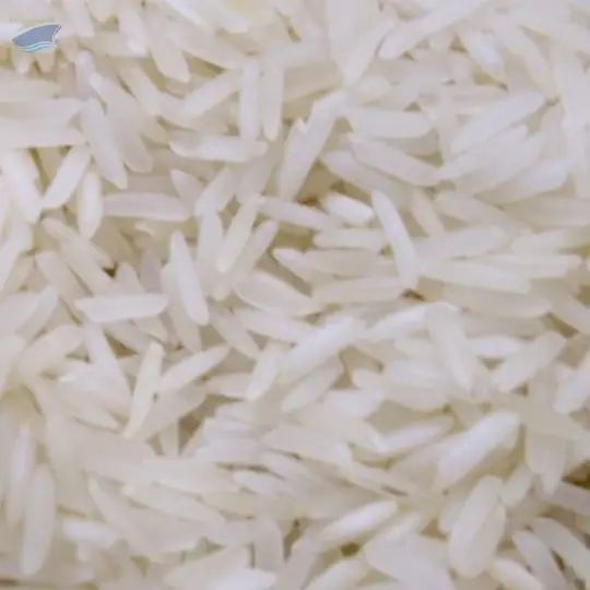 1121 Raw Basmati Rice