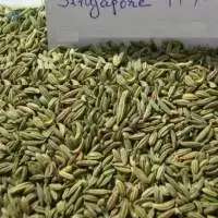 Fennel Seed
