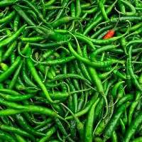 Fresh Green Chilli