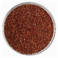 Finger Millet (Ragi)