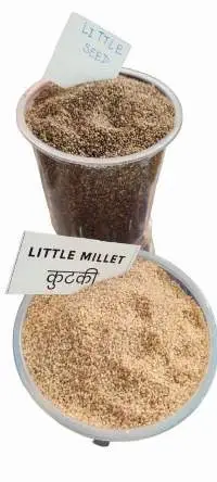 Little Millet