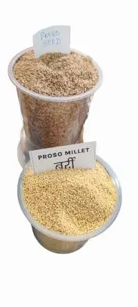 Proso Millet
