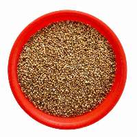 Kodo Millet