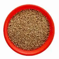 Kodo Millet