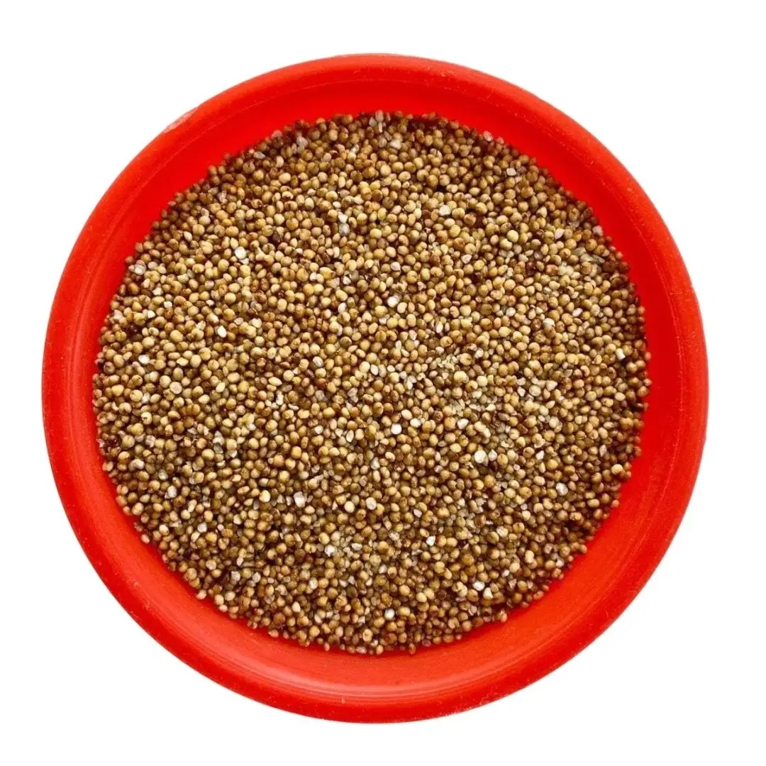 Kodo Millet