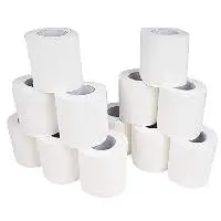 Toilet Roll- 2 ply, 10*1