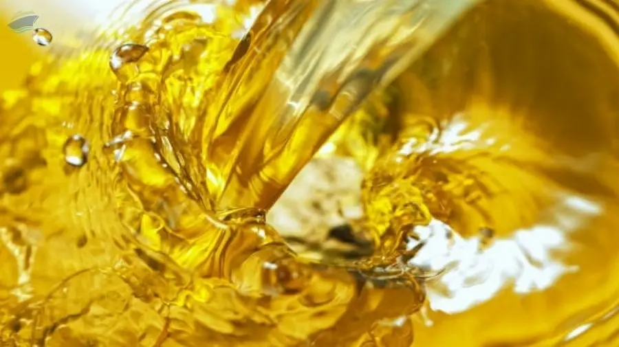 Sunflower Crude Oil