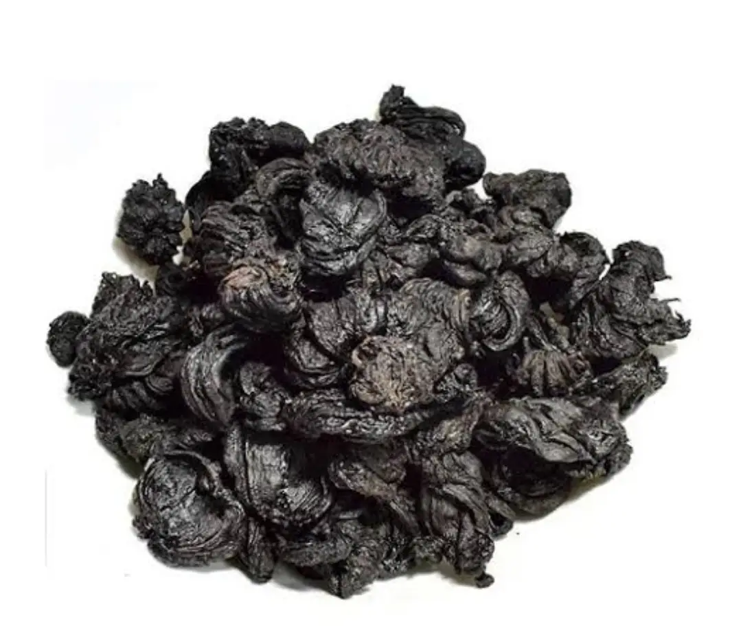 Garcinia Cambogia