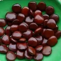 Entanda seed / Gaadbej