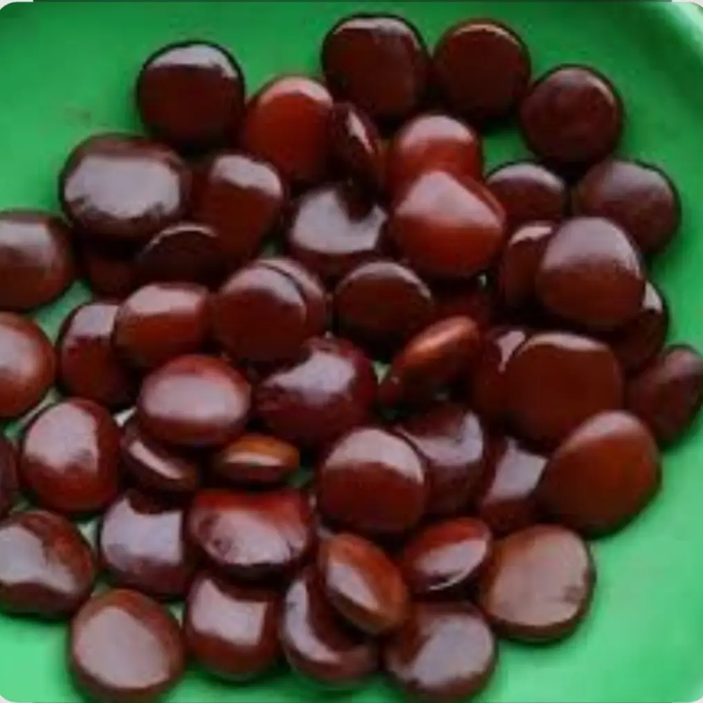 Entanda seed / Gaadbej