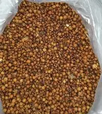Mesua ferrea / Laal nageswar