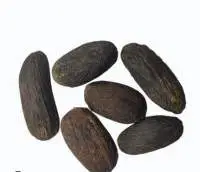 Long nut muge / wild nut muge